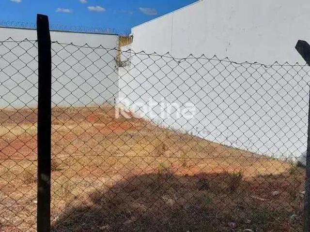 Terreno aluguel em Região Geográfica Imediata de Uberlândia, Oliveira Fortes