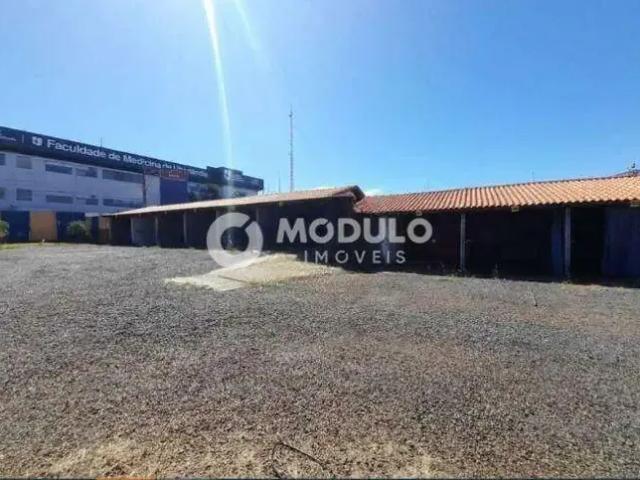 Terreno aluguel em Região Geográfica Imediata de Uberlândia, Oliveira Fortes