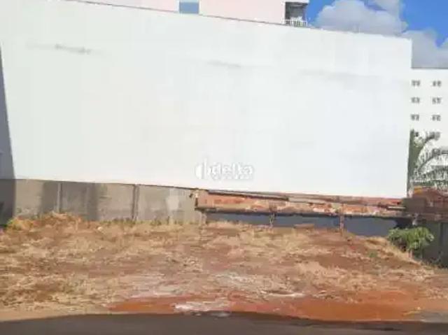 Terreno aluguel em Região Geográfica Imediata de Uberlândia, Oliveira Fortes