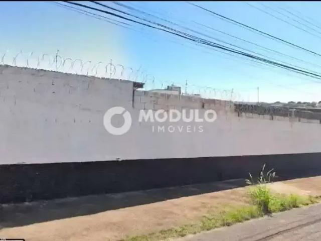 Terreno aluguel em Região Geográfica Imediata de Uberlândia, Oliveira Fortes