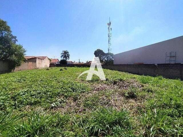 Terreno aluguel em Setor Sul, Uberlândia