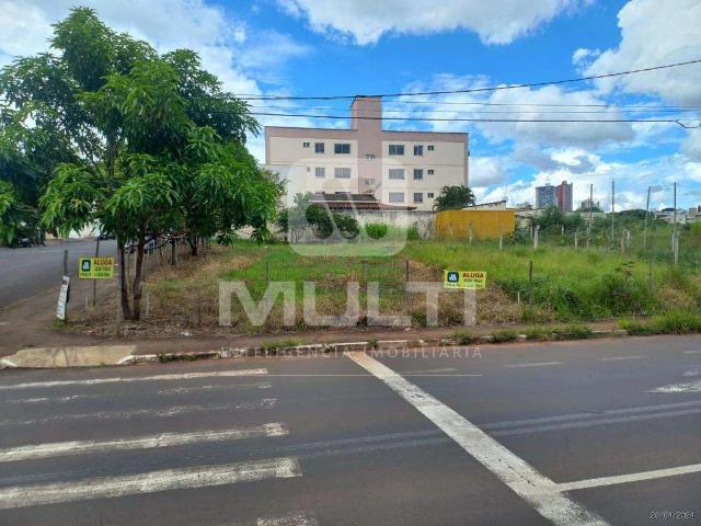 Terreno aluguel em Setor Central, Uberlândia