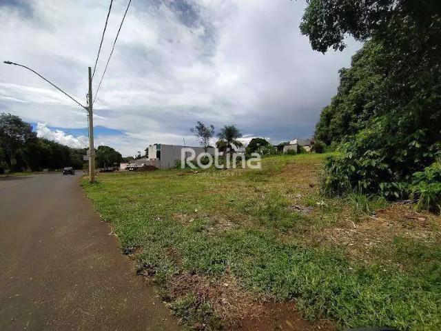 Terreno aluguel em Região Geográfica Imediata de Uberlândia, Oliveira Fortes