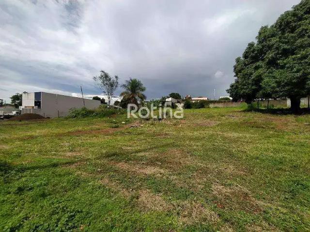 Terreno aluguel em Região Geográfica Imediata de Uberlândia, Oliveira Fortes