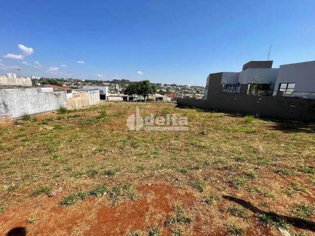 Terreno aluguel em Região Geográfica Imediata de Uberlândia, Oliveira Fortes