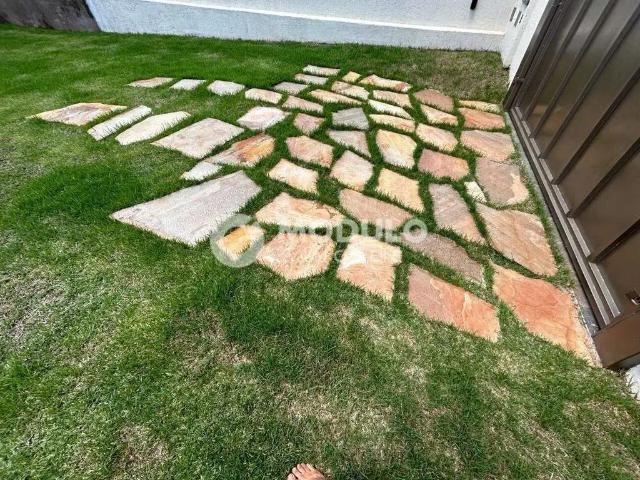 Terreno aluguel em Região Geográfica Imediata de Uberlândia, Oliveira Fortes