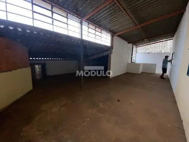 Terreno aluguel em Região Geográfica Imediata de Uberlândia, Oliveira Fortes