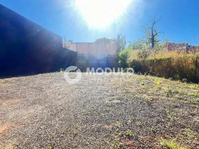 Terreno aluguel em Região Geográfica Imediata de Uberlândia, Oliveira Fortes