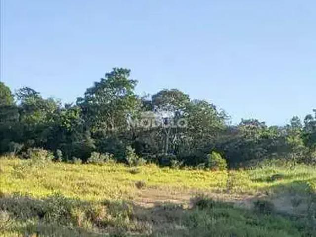Terreno aluguel em Região Geográfica Imediata de Uberlândia, Oliveira Fortes