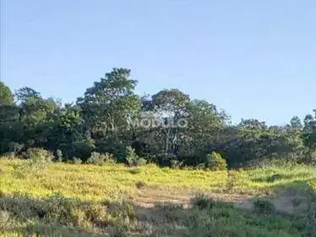 Terreno aluguel em Região Geográfica Imediata de Uberlândia, Oliveira Fortes