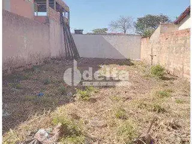 Terreno aluguel em Região Geográfica Imediata de Uberlândia, Oliveira Fortes