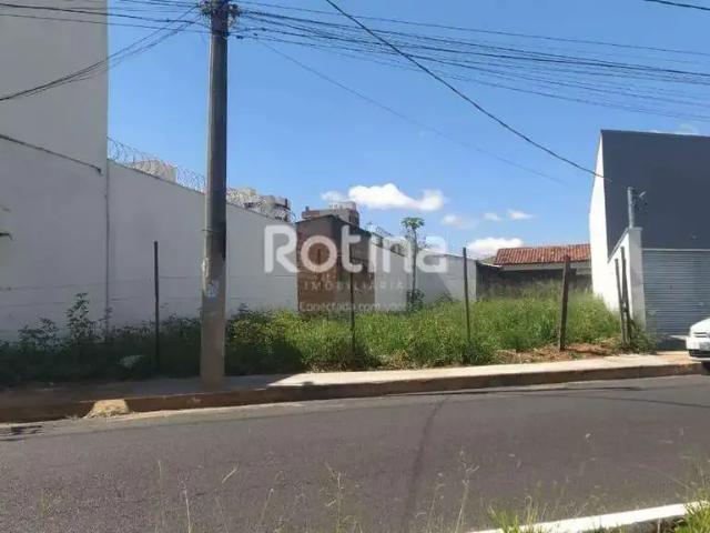 Terreno aluguel em Região Geográfica Imediata de Uberlândia, Oliveira Fortes