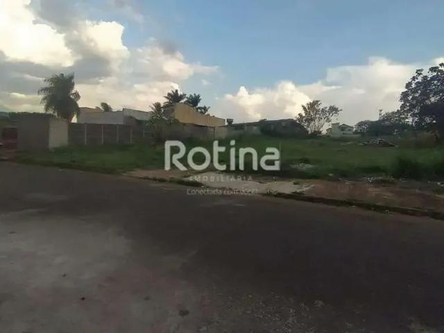 Terreno aluguel em Região Geográfica Imediata de Uberlândia, Oliveira Fortes
