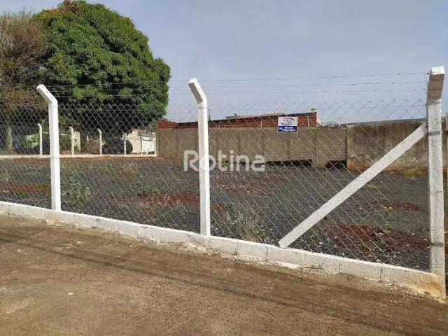 Terreno aluguel em Região Geográfica Imediata de Uberlândia, Oliveira Fortes
