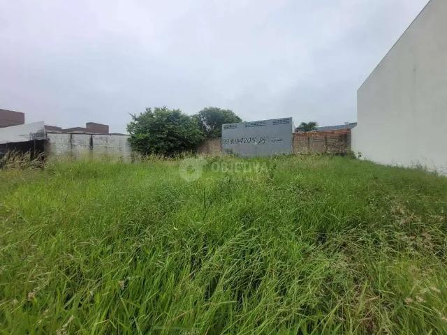 Terreno aluguel em Região Geográfica Imediata de Uberlândia, Oliveira Fortes