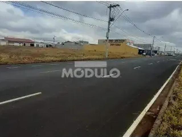 Terreno aluguel em Região Geográfica Imediata de Uberlândia, Oliveira Fortes