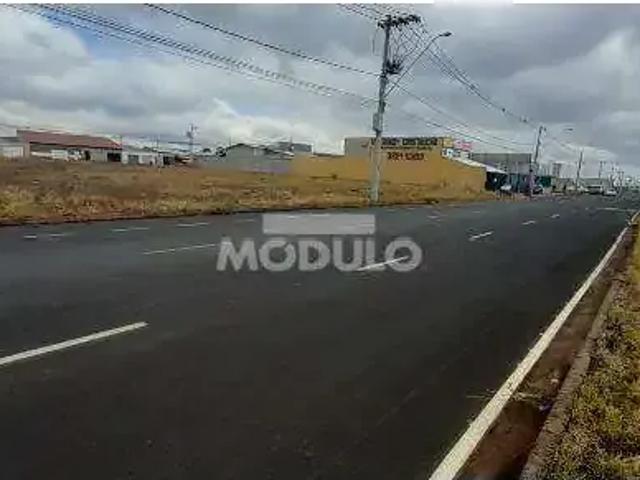 Terreno aluguel em Região Geográfica Imediata de Uberlândia, Oliveira Fortes