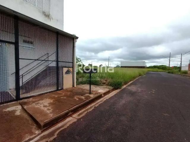 Terreno aluguel em Região Geográfica Imediata de Uberlândia, Oliveira Fortes