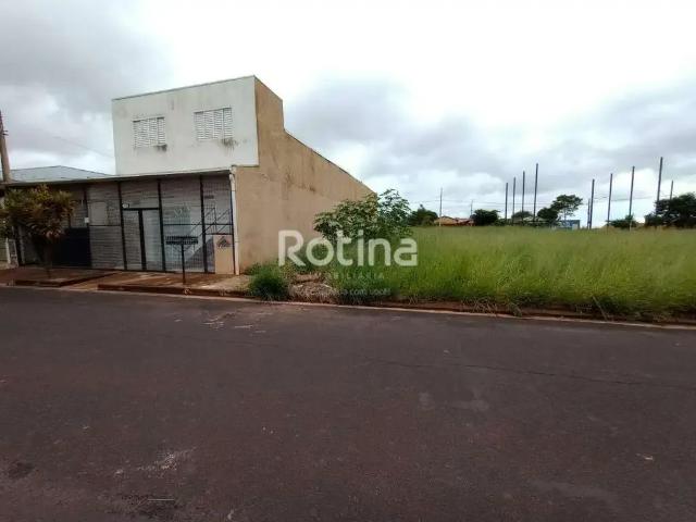 Terreno aluguel em Região Geográfica Imediata de Uberlândia, Oliveira Fortes