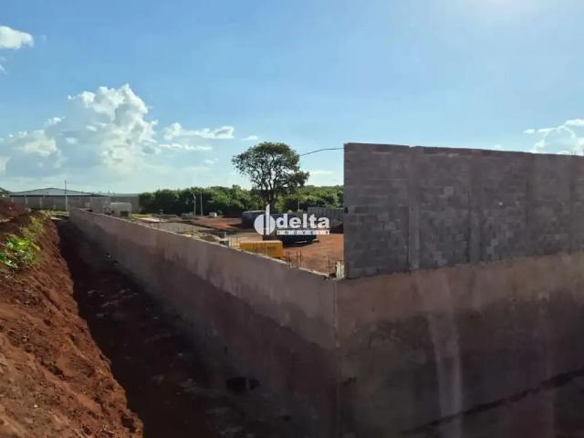 Terreno aluguel em Região Geográfica Imediata de Uberlândia, Oliveira Fortes