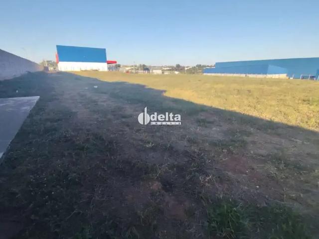 Terreno aluguel em Região Geográfica Imediata de Uberlândia, Oliveira Fortes