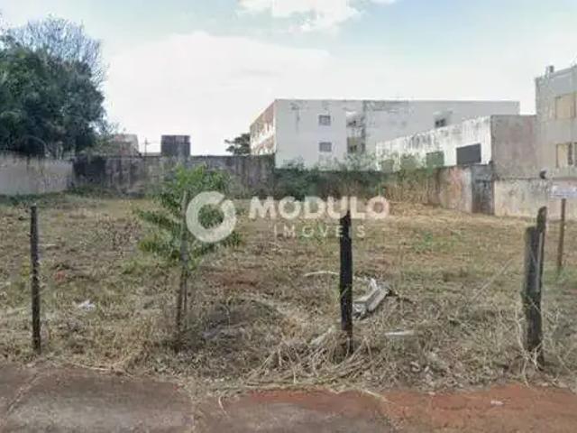 Terreno aluguel em Região Geográfica Imediata de Uberlândia, Oliveira Fortes