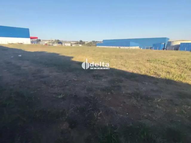Terreno aluguel em Região Geográfica Imediata de Uberlândia, Oliveira Fortes