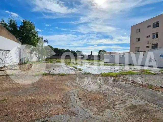 Terreno aluguel em Região Geográfica Imediata de Uberlândia, Oliveira Fortes