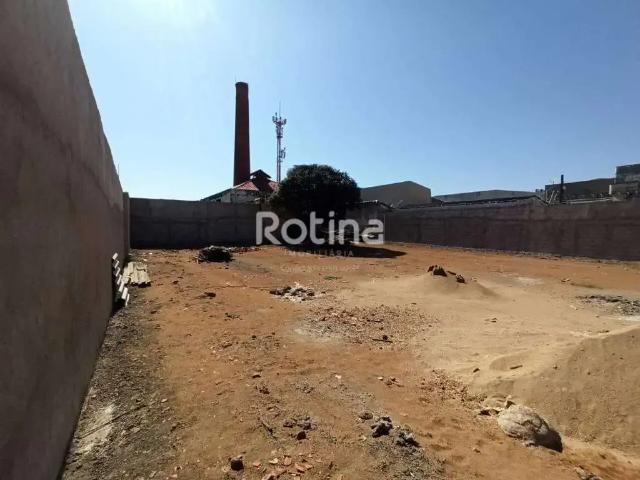 Terreno aluguel em Região Geográfica Imediata de Uberlândia, Oliveira Fortes
