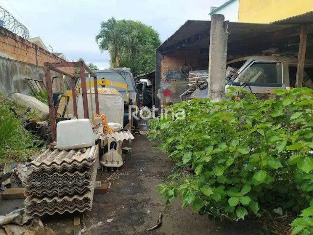 Terreno aluguel em Região Geográfica Imediata de Uberlândia, Oliveira Fortes