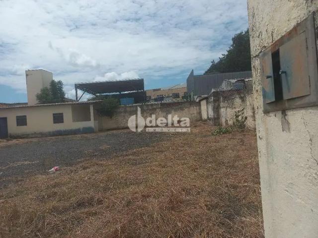 Terreno aluguel em Região Geográfica Imediata de Uberlândia, Oliveira Fortes