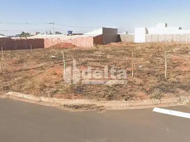 Terreno aluguel em Região Geográfica Imediata de Uberlândia, Oliveira Fortes