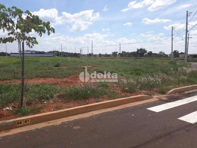 Terreno aluguel em Setor Norte, Uberlândia