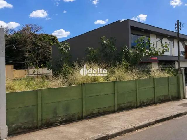 Terreno aluguel em Região Geográfica Imediata de Uberlândia, Oliveira Fortes