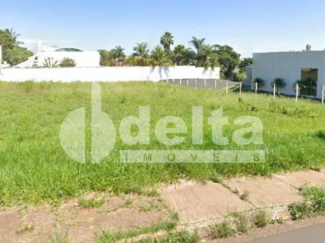 Terreno aluguel em Região Geográfica Imediata de Uberlândia, Oliveira Fortes