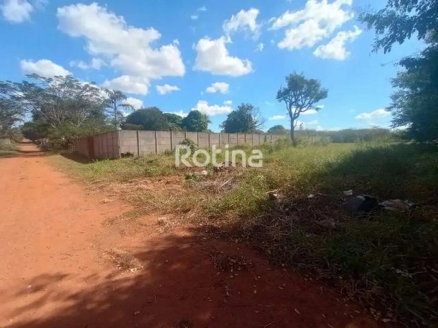 Terreno aluguel em Região Geográfica Imediata de Uberlândia, Oliveira Fortes