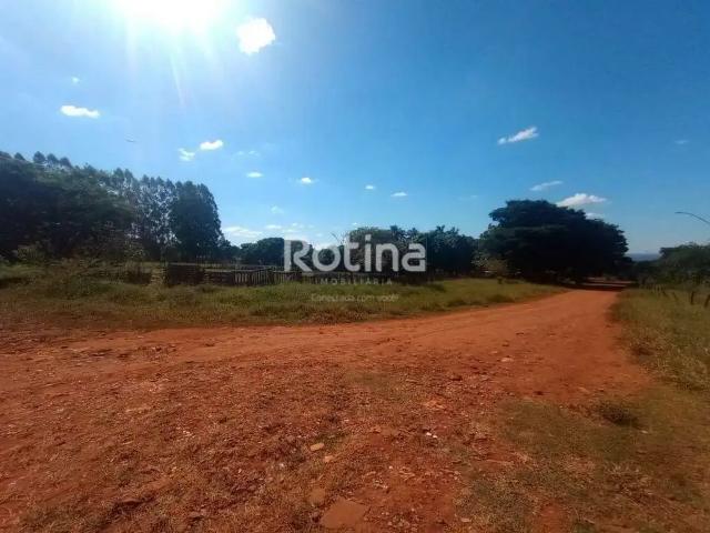 Terreno aluguel em Região Geográfica Imediata de Uberlândia, Oliveira Fortes