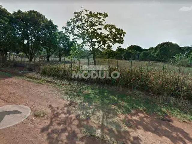 Terreno aluguel em Região Geográfica Imediata de Uberlândia, Oliveira Fortes