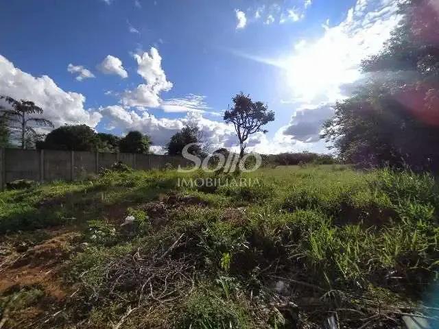 Terreno aluguel em Região Geográfica Imediata de Uberlândia, Oliveira Fortes