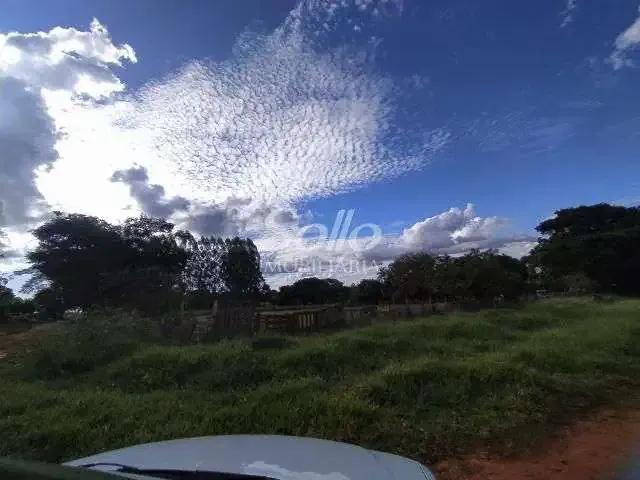 Terreno aluguel em Região Geográfica Imediata de Uberlândia, Oliveira Fortes