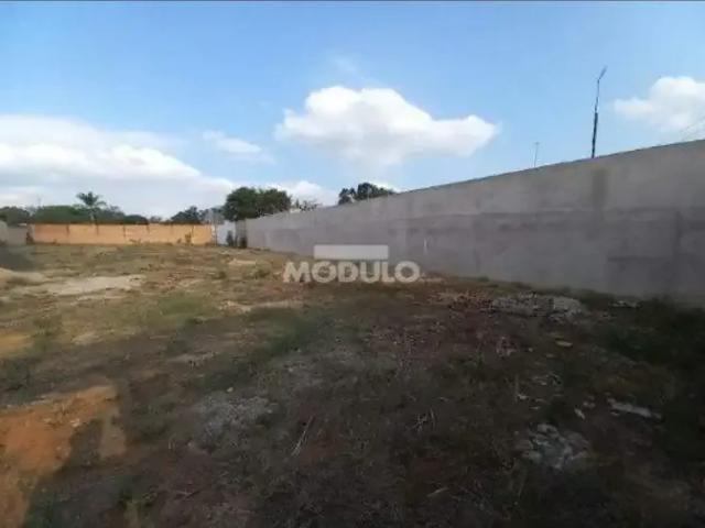 Terreno aluguel em Região Geográfica Imediata de Uberlândia, Oliveira Fortes