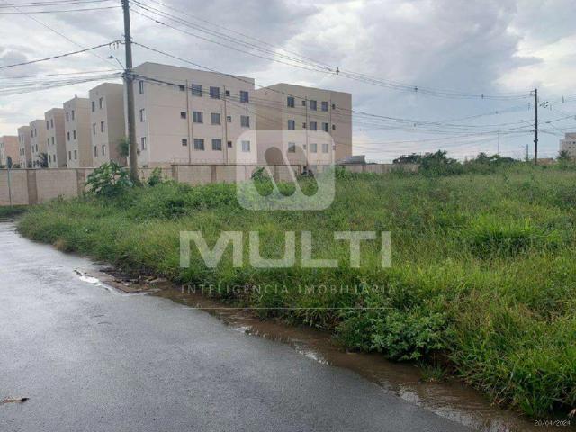 Terreno aluguel em Morumbi, Uberlândia