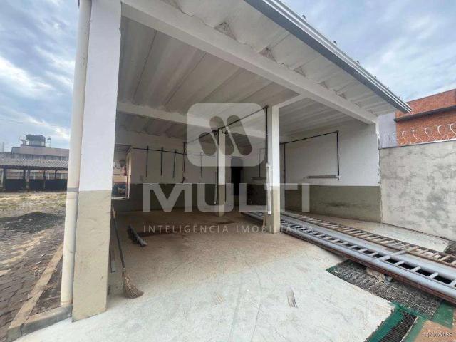 Terreno aluguel em Setor Central, Uberlândia