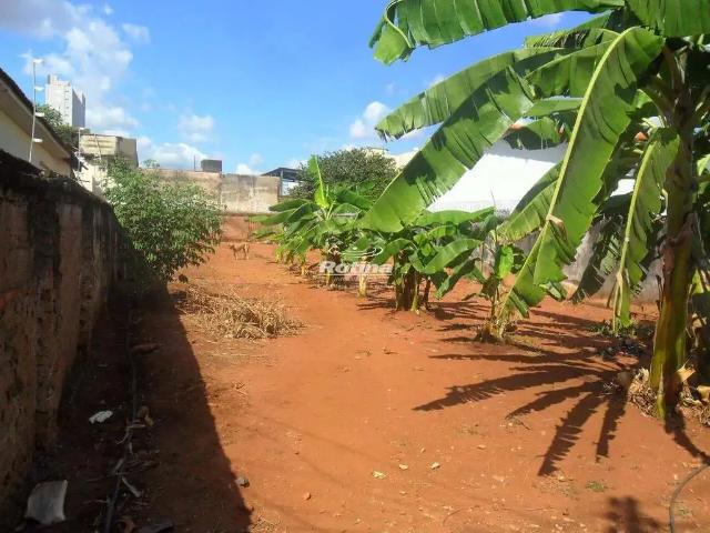 Terreno aluguel em Região Geográfica Imediata de Uberlândia, Oliveira Fortes