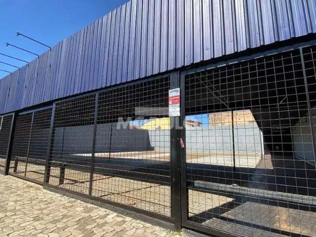 Terreno aluguel em Região Geográfica Imediata de Uberlândia, Oliveira Fortes