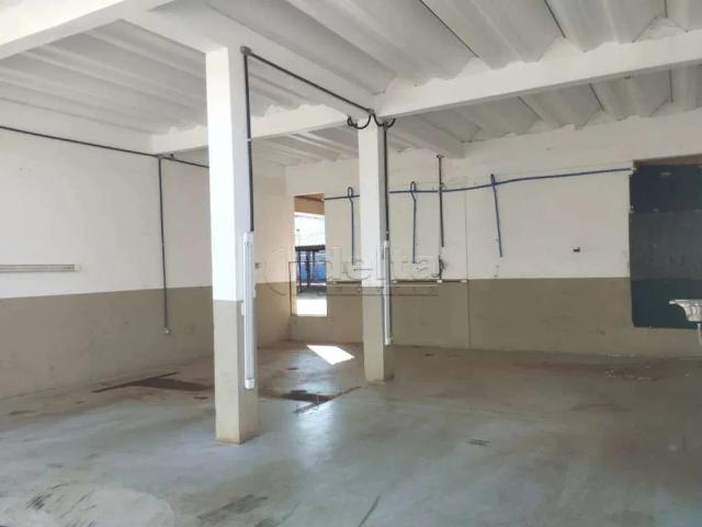 Terreno aluguel em Setor Central, Uberlândia