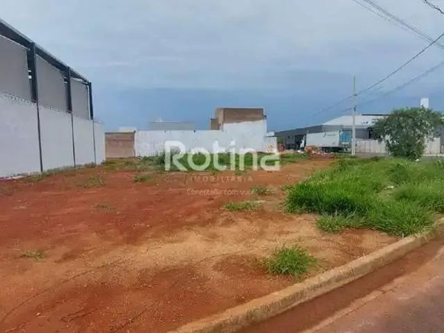 Terreno aluguel em Região Geográfica Imediata de Uberlândia, Oliveira Fortes