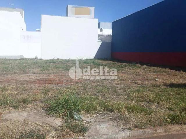 Terreno aluguel em Novo Mundo, Uberlândia