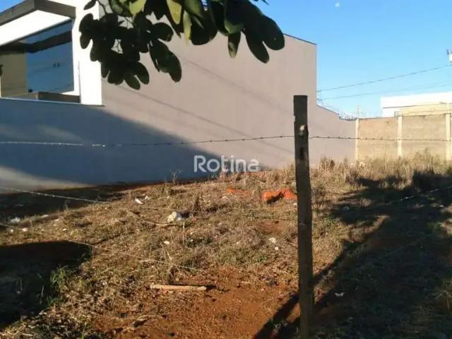 Terreno aluguel em Região Geográfica Imediata de Uberlândia, Oliveira Fortes