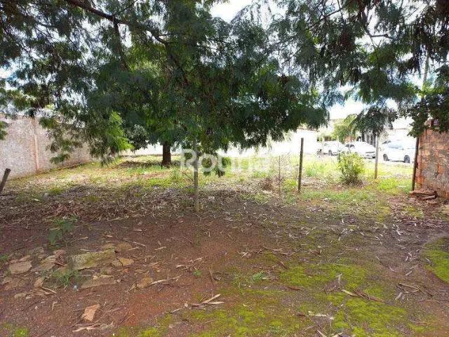 Terreno aluguel em Região Geográfica Imediata de Uberlândia, Oliveira Fortes